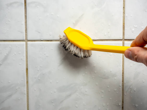 Best Professional Mold Removal  in Folsom, NJ