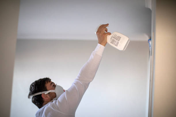 Best Mold Testing  in Folsom, NJ