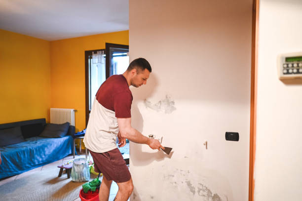 Best Office Mold Removal Services  in Folsom, NJ